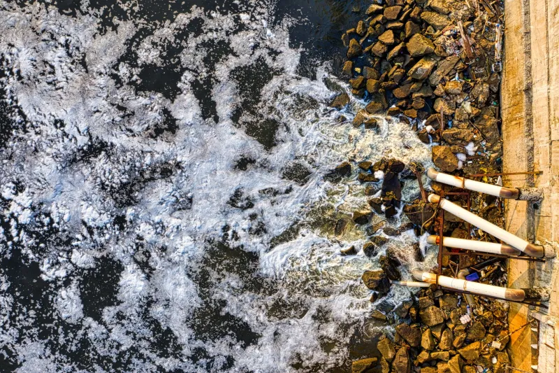 When Your Body Gets Fooled: The Sneaky Chemistry of Toxic Heavy Metals