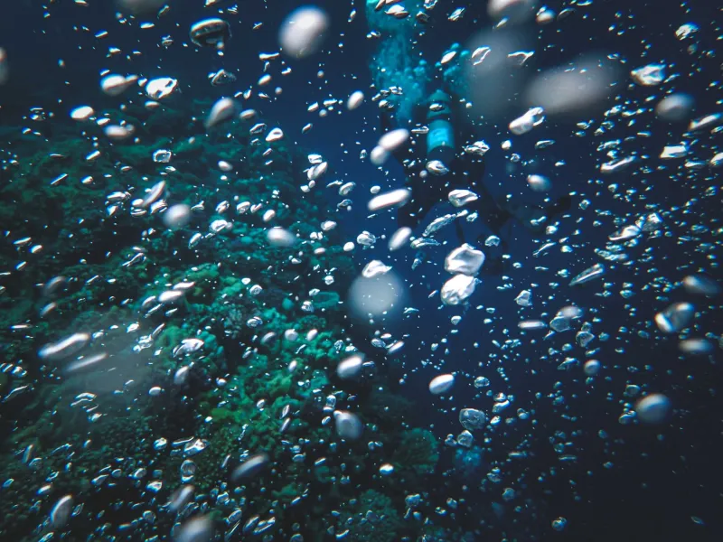 Two Miles Down and Full of Treasure: The Science of What's Hiding on the Ocean Floor